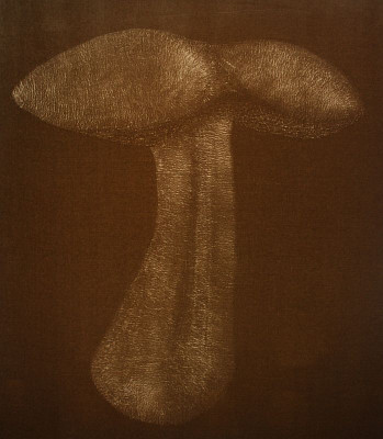 Serie  "Fungi"